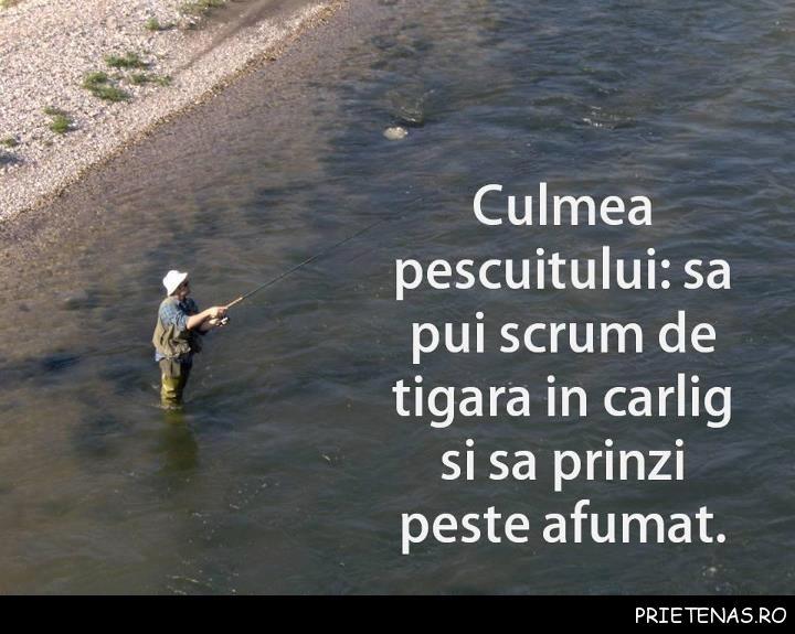 Diverse - culmea-pescuitului1.jpg